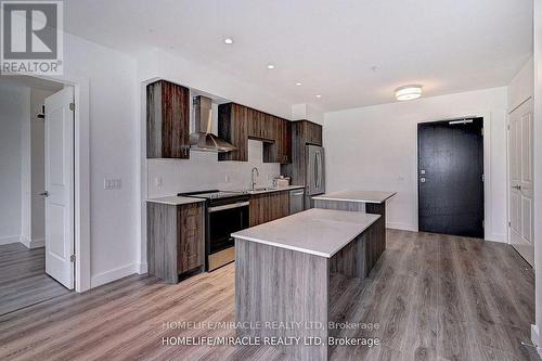 910 - 15 Glebe Street N, Cambridge, ON - Indoor Photo Showing Kitchen