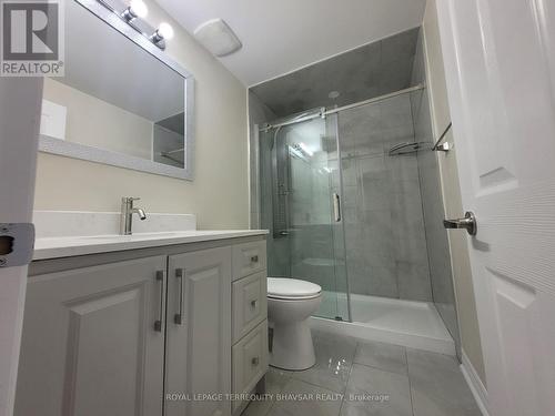 Bsmt - 1193 Field Drive, Milton, ON - Indoor Photo Showing Bathroom