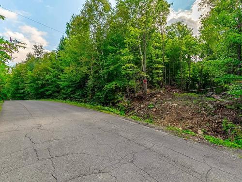 Terre/Terrain - Rue De La Voie-Du-Bois, Prévost, QC 