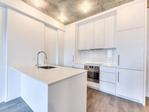 Kitchen - 304-3045 Boul. De L'Assomption, Montréal (Mercier/Hochelaga-Maisonneuve), QC - Indoor Photo Showing Kitchen