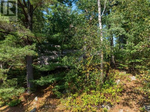 53B Forest Access Road, Parry Sound Remote Area, ON - Outdoor