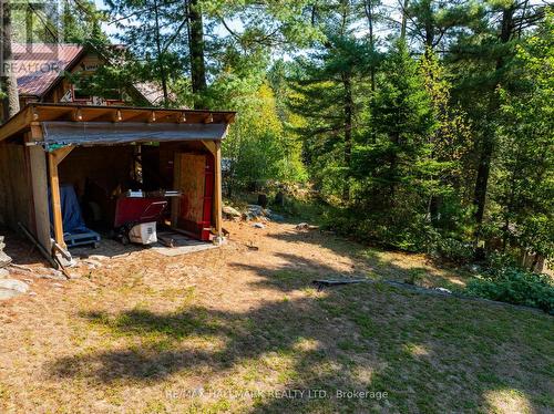 53B Forest Access Road, Parry Sound Remote Area, ON - Outdoor