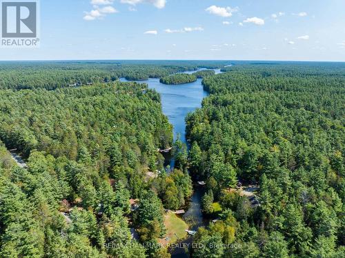 53B Forest Access Road, Parry Sound Remote Area, ON - Outdoor With View