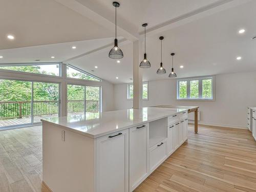 Cuisine - 55 Ch. De Normandie, Sainte-Agathe-Des-Monts, QC - Indoor Photo Showing Kitchen With Upgraded Kitchen