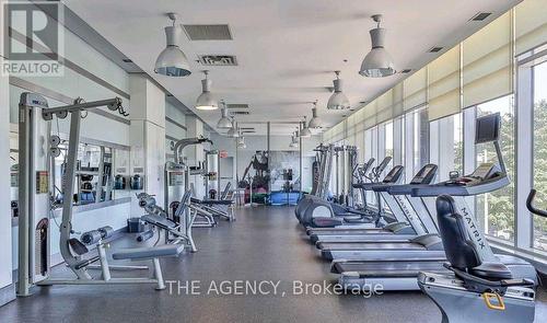 738 - 2885 Bayview Avenue, Toronto (Bayview Village), ON - Indoor Photo Showing Gym Room