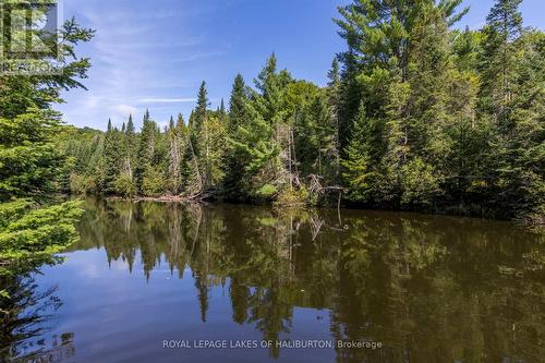 1880 Boldts Lane, Minden Hills, ON - Outdoor With Body Of Water With View