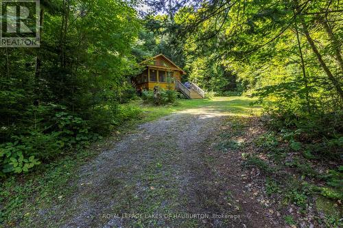 1880 Boldts Lane, Minden Hills, ON - Outdoor