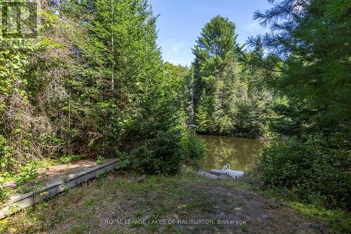 1880 Boldts Lane, Minden Hills, ON - Outdoor