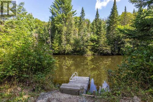 1880 Boldts Lane, Minden Hills, ON - Outdoor