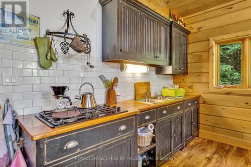 1880 Boldts Lane, Minden Hills, ON - Indoor Photo Showing Kitchen With Double Sink