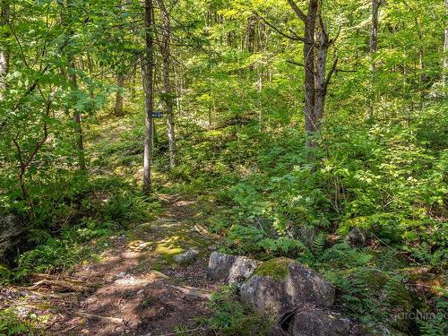 Other - Ch. De La Lisière, Sainte-Adèle, QC 