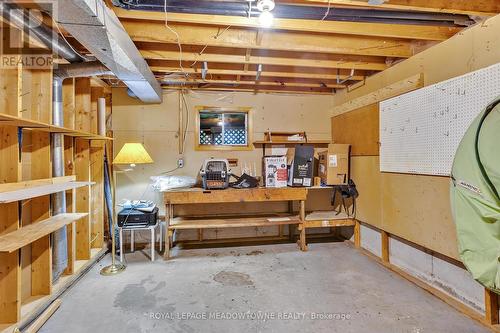 115 Albert Street, Smith-Ennismore-Lakefield (Lakefield), ON - Indoor Photo Showing Basement