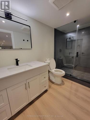 Lower - 125 East 31St Street, Hamilton (Raleigh), ON - Indoor Photo Showing Bathroom