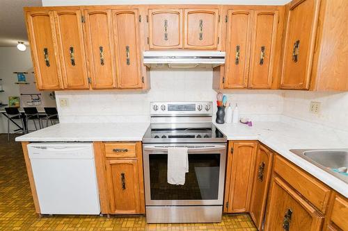 26148 Pr 245 Highway, Dufferin, MB - Indoor Photo Showing Kitchen