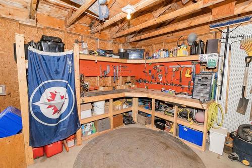 26148 Pr 245 Highway, Dufferin, MB - Indoor Photo Showing Basement