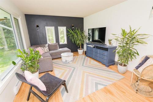 26148 Pr 245 Highway, Dufferin, MB - Indoor Photo Showing Living Room