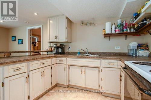 69 Glen Park Crescent, Kitchener, ON - Indoor Photo Showing Kitchen With Double Sink