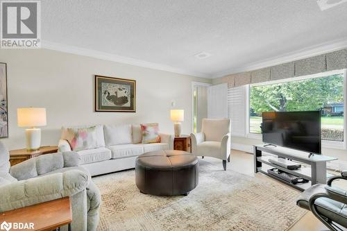 142 Old Madoc Road, Belleville, ON - Indoor Photo Showing Living Room