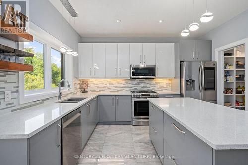 195 Union Avenue, Middlesex Centre (Komoka), ON - Indoor Photo Showing Kitchen With Double Sink With Upgraded Kitchen