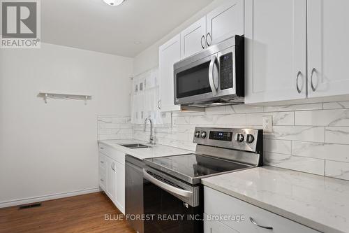 236 Tweedsmuir Avenue, London, ON - Indoor Photo Showing Kitchen With Double Sink