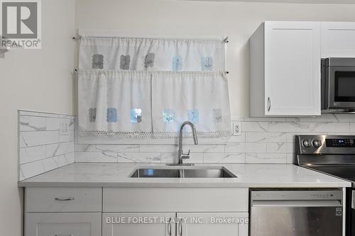 236 Tweedsmuir Avenue, London, ON - Indoor Photo Showing Kitchen With Double Sink