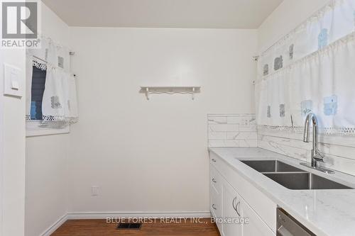 236 Tweedsmuir Avenue, London, ON - Indoor Photo Showing Kitchen With Double Sink