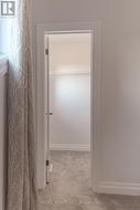 walk-in closet - 