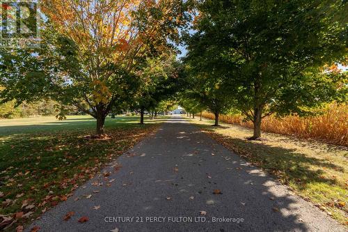 5659 Gilmore Road, Clarington, ON - Outdoor With View