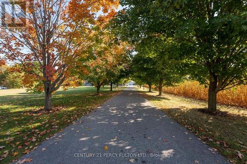 5659 Gilmore Road, Clarington, ON - Outdoor With View