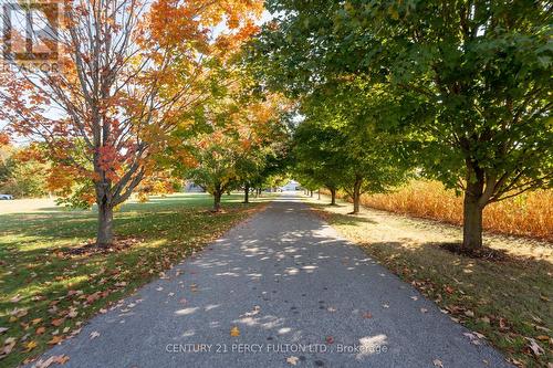 5659 Gilmore Road, Clarington, ON - Outdoor With View