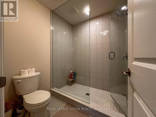 155 Bur Oak Drive, Thorold, ON - Indoor Photo Showing Bathroom