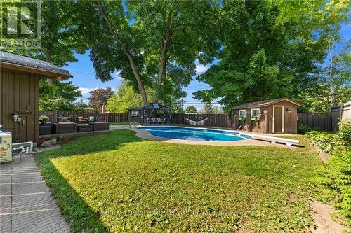 601 Glenwood Drive, Pembroke, ON - Outdoor With In Ground Pool With Backyard