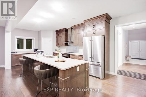 61 Broadacre Drive, Kitchener, ON - Indoor Photo Showing Kitchen With Stainless Steel Kitchen With Double Sink