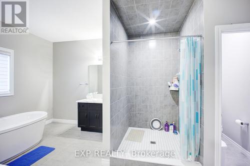 61 Broadacre Drive, Kitchener, ON - Indoor Photo Showing Bathroom