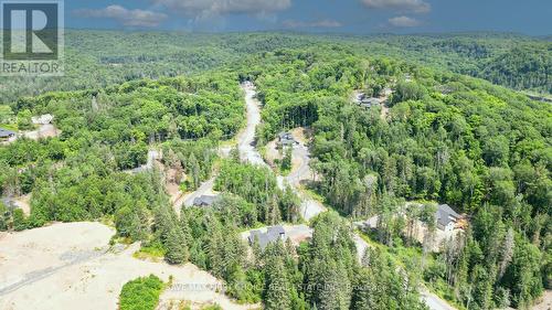 1005 Kingsridge Court, Huntsville, ON - Outdoor With View