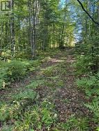 laneway way approximately 75feet long - 