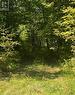 6 - 6 Consession 15 Wylie Road, Laurentian Hills, ON 