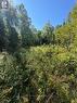 6 - 6 Consession 15 Wylie Road, Laurentian Hills, ON 