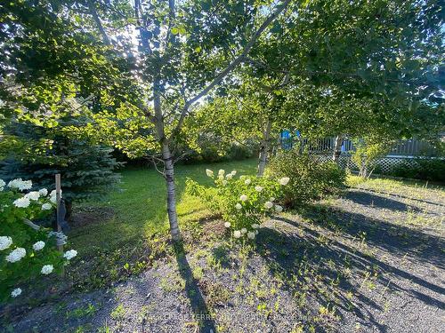 283 Hillview Rd, Trent Hills, ON - Outdoor