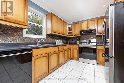 121 Dairy Drive, Halton Hills (Acton), ON - Indoor Photo Showing Kitchen With Double Sink