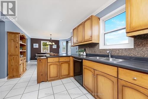 121 Dairy Drive, Halton Hills (Acton), ON - Indoor Photo Showing Kitchen With Double Sink