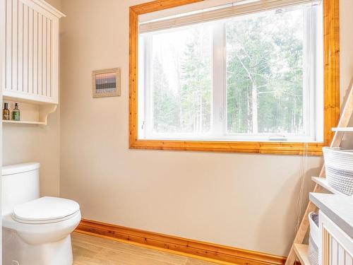 Salle de bains - 408 Rue Ashby, Stratford, QC - Indoor Photo Showing Bathroom