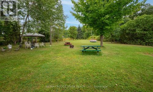 164 Front Street, Trent Hills (Hastings), ON - Outdoor With Backyard