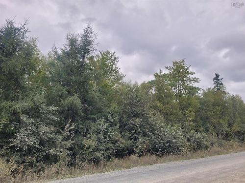 Lot 1 Blois Road, Macphees Corner, NS 