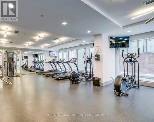 2005 - 58 Orchard View  Boulevard, Toronto (Yonge-Eglinton), ON - Indoor Photo Showing Gym Room