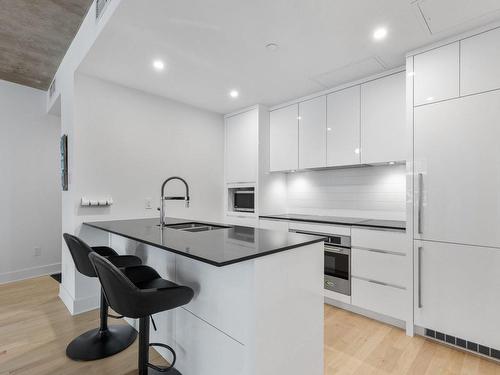 Kitchen - 311-2175 Rue St-Patrick, Montréal (Le Sud-Ouest), QC - Indoor Photo Showing Kitchen With Upgraded Kitchen