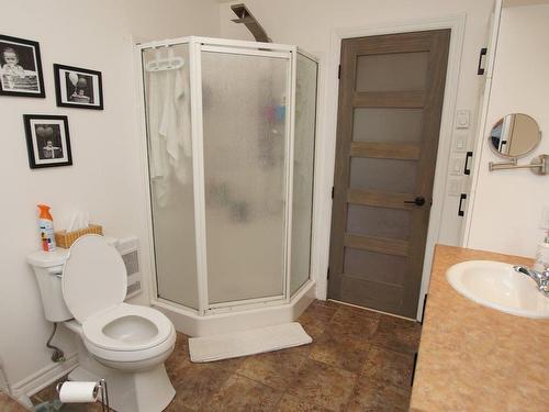 Salle de bains - 11 Rue Des Sittelles, Saint-Charles-Borromée, QC - Indoor Photo Showing Bathroom