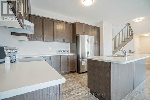 17 Pinot Crescent, Hamilton (Winona), ON - Indoor Photo Showing Kitchen With Double Sink