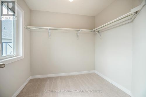 17 Pinot Crescent, Hamilton (Winona), ON - Indoor With Storage