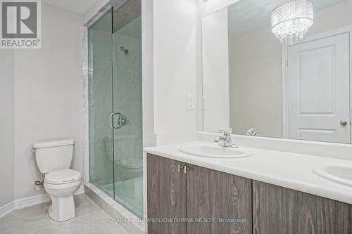 17 Pinot Crescent, Hamilton, ON - Indoor Photo Showing Bathroom